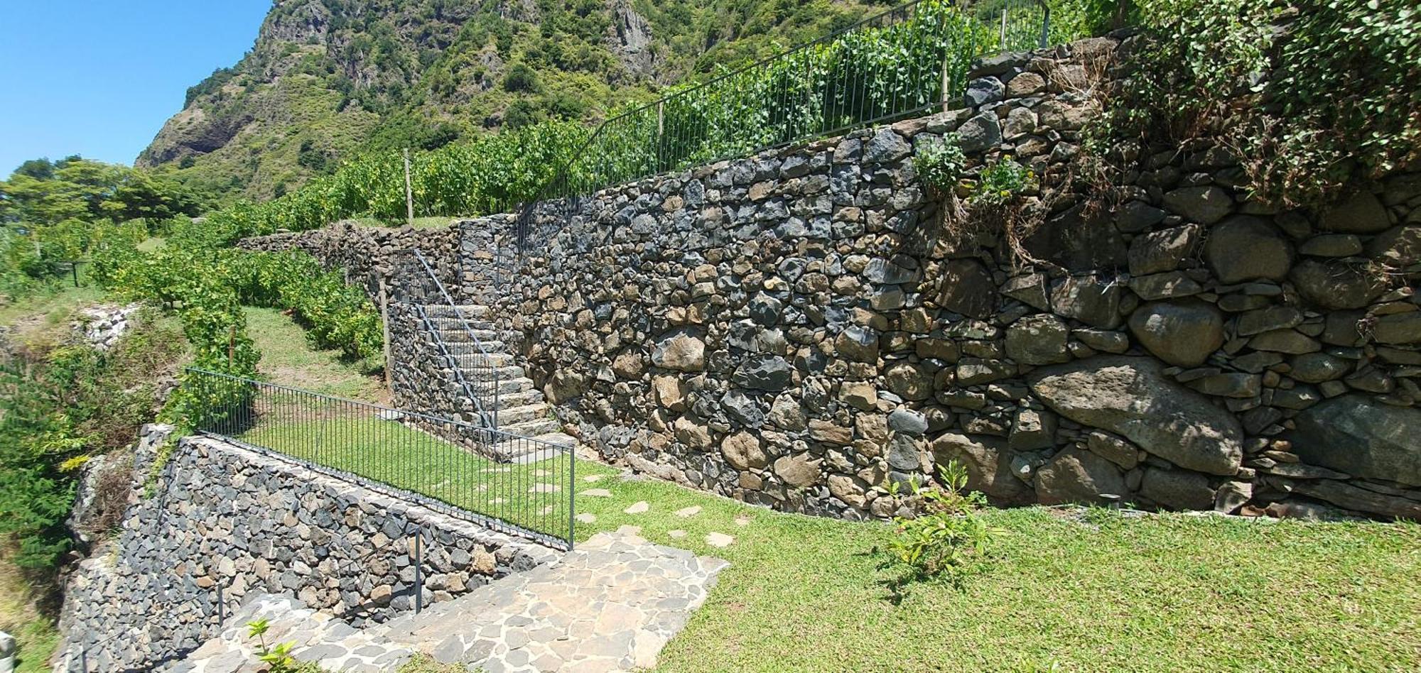 Terrabona Nature & Vineyards Boaventura Kültér fotó